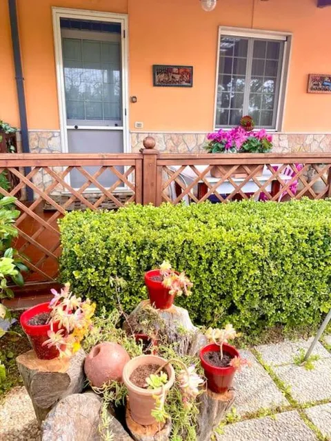 Giardino davanti con fiori